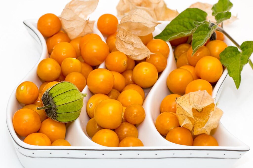 cape gooseberry, fruit, ripe-3043259.jpg